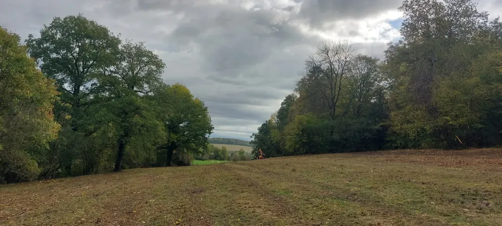 Débroussaillage près de Chaumont 