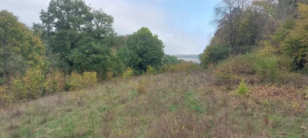 Travaux ruraux près de Chaumont 