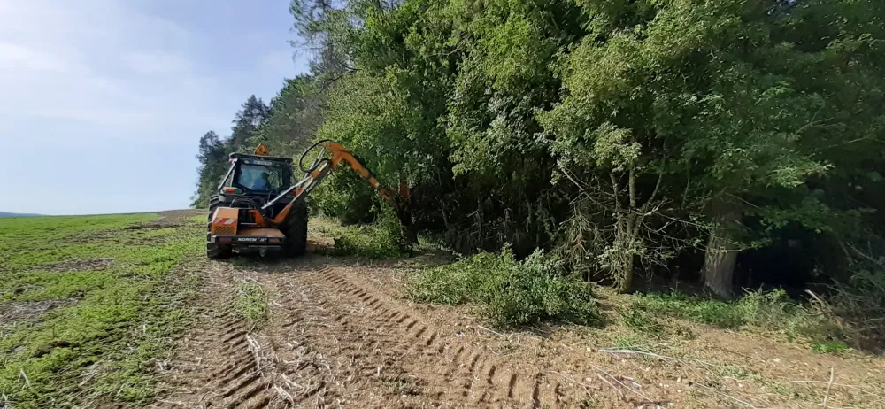 Travaux d'élagage près de Chaumont 