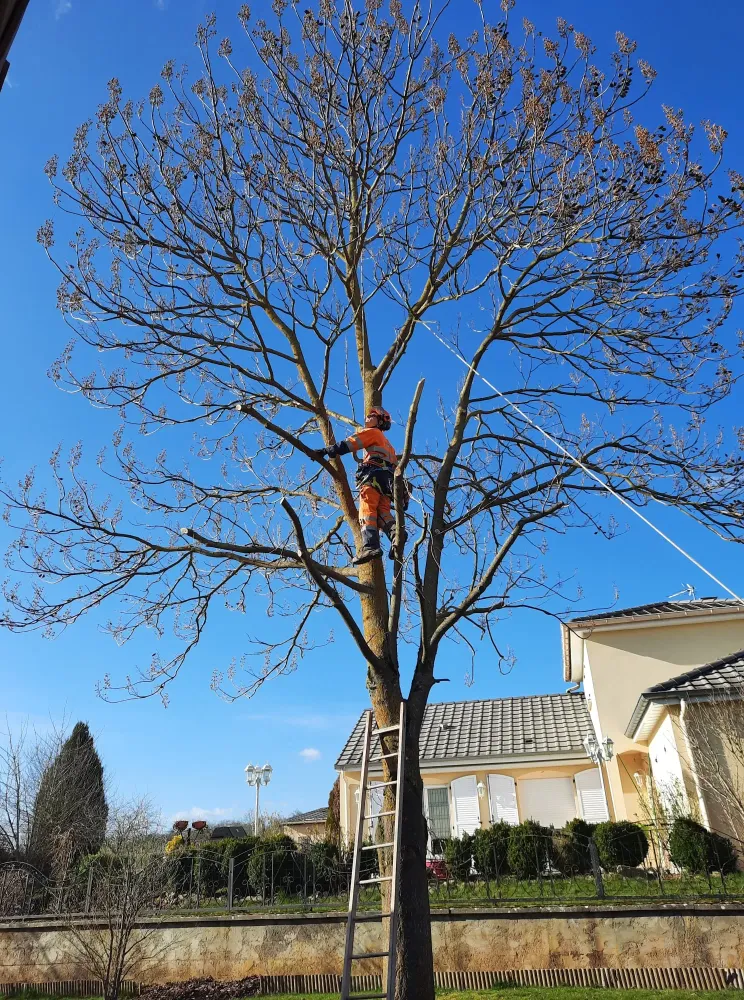 Travaux ruraux et entretien d’espaces verts en Meuse et alentours - SARL Prestige (1webp